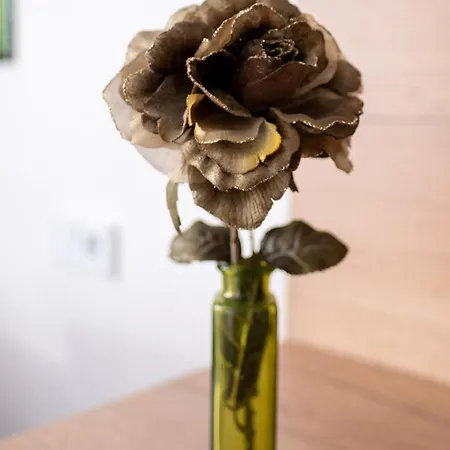 菲联豪斯奥林匹亚酒店 公寓 *