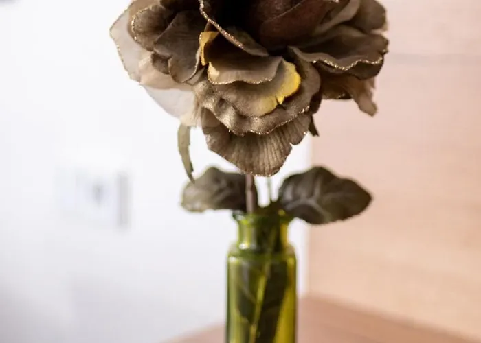 Olympia Appartamento *